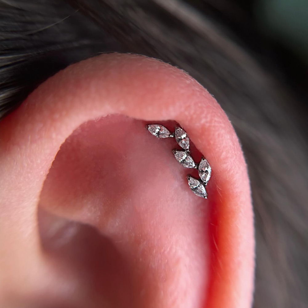 Piercing de Cartilagem com Ros - Cluster Stud Ear avaliação e preço