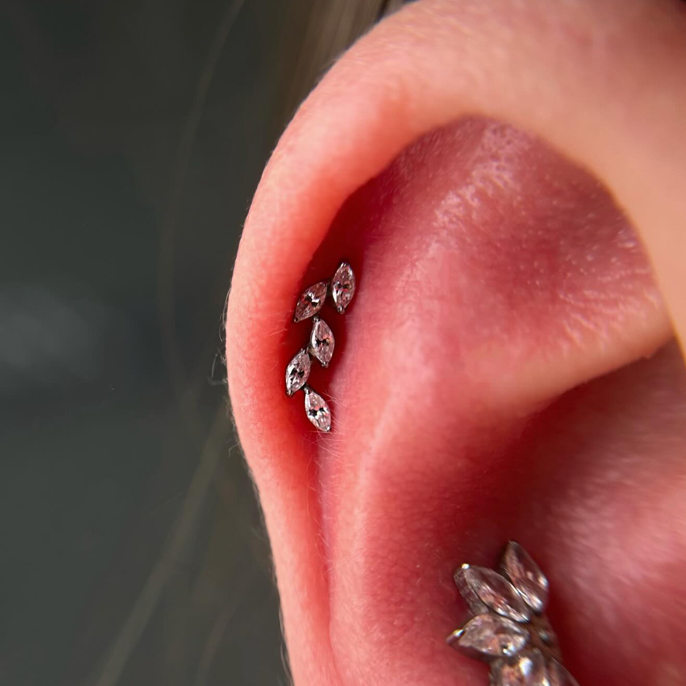 Piercing de Cartilagem com Ros - Cluster Stud Ear avaliação e preço