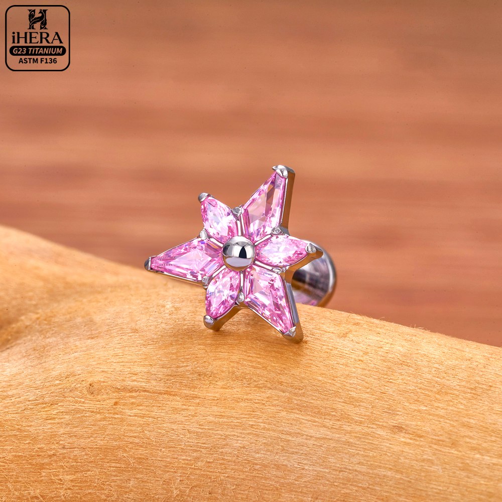 Brincos de Titânio ASTM F136 c - Cluster Stud Ear avaliação e preço